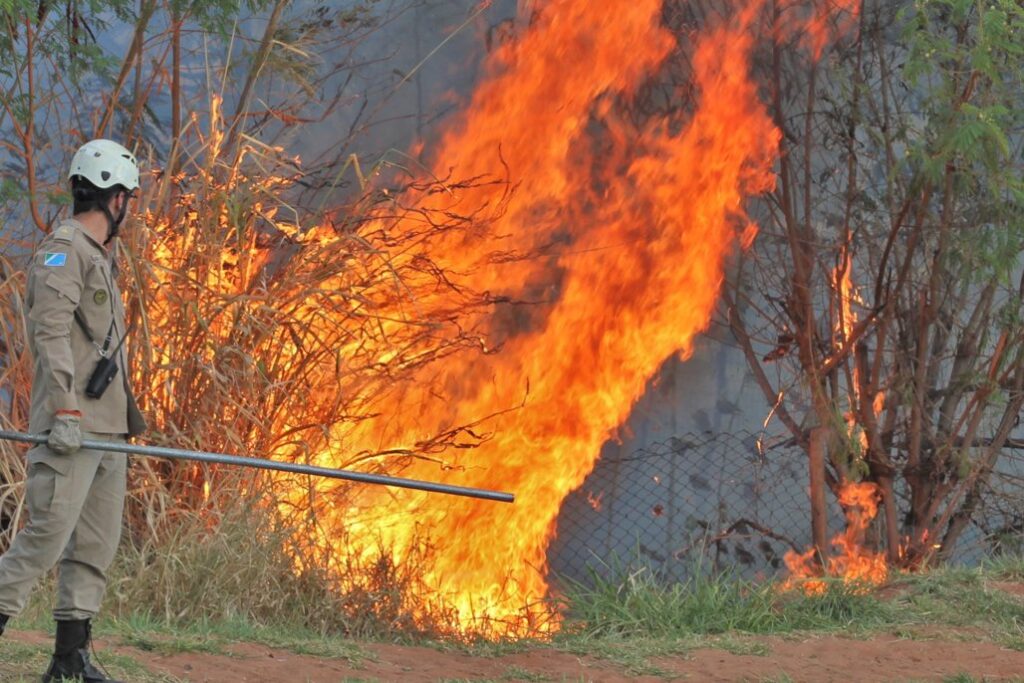 Mato Grosso do Sul registra 1,2 mil atendimentos por queimadas urbanas em sete meses