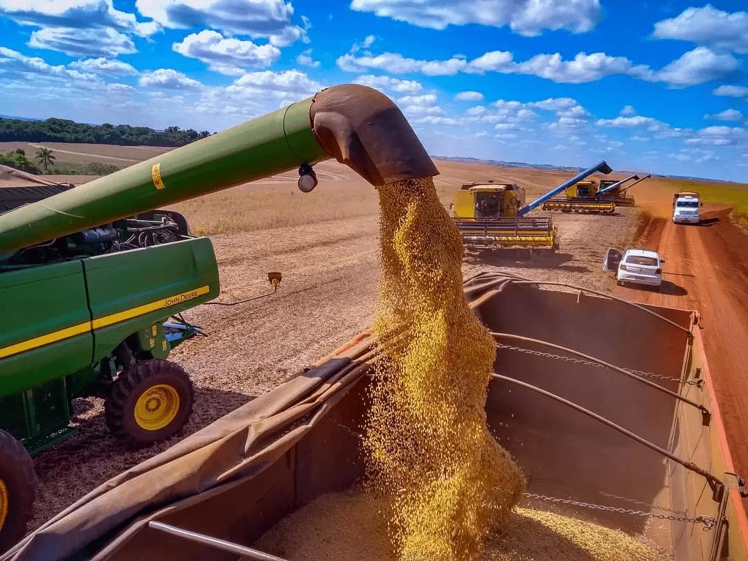 Safra recorde fortalece economia de MS, mas custos e logística ainda pressionam produtores